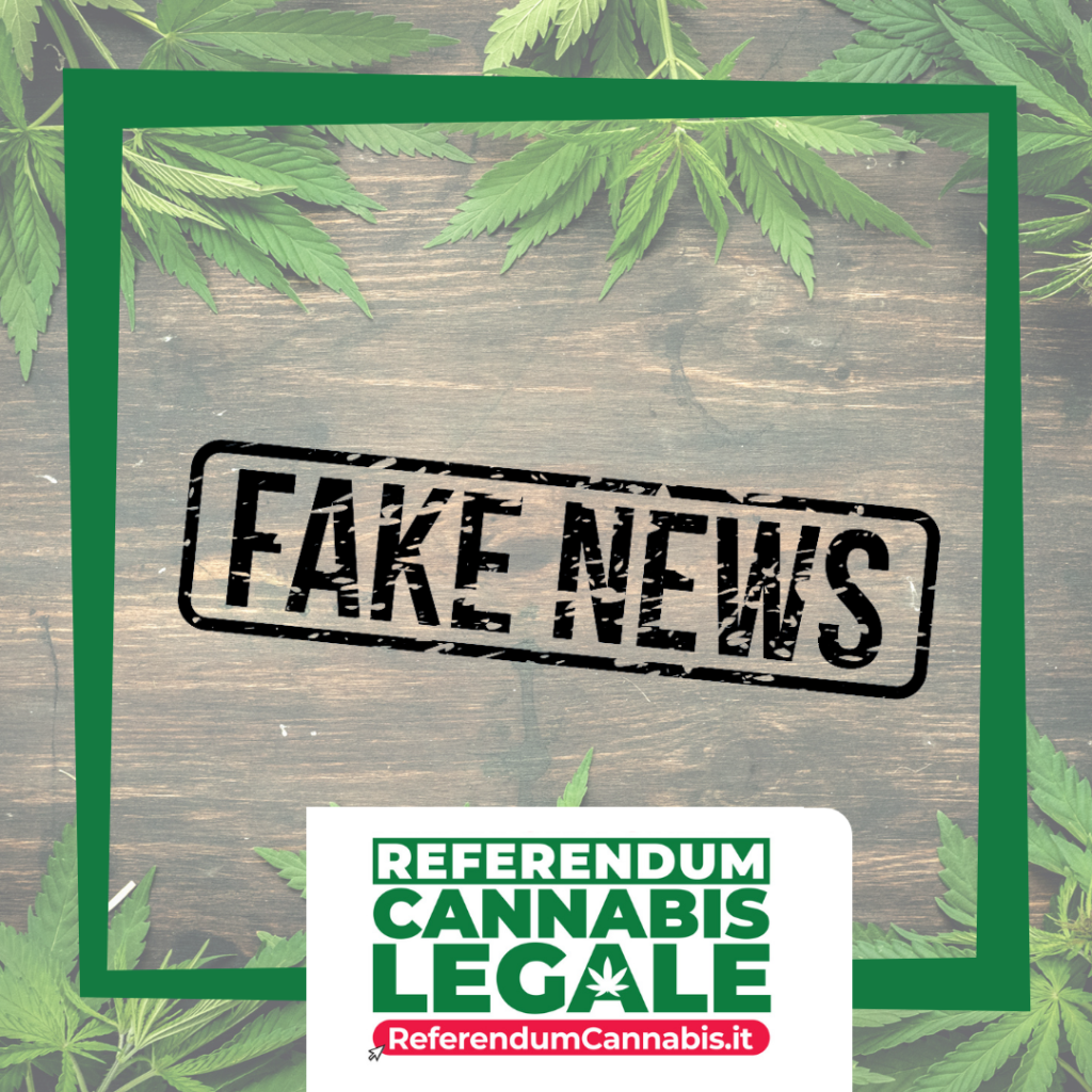 fake news referendum cannabis